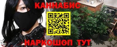 mdpv Гатчина