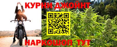 mdpv Гатчина